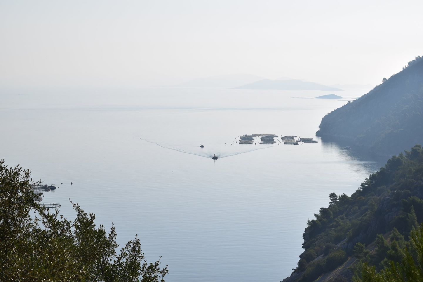 ΠΡΟΣ ΠΕΙΔΑΥΡΟ