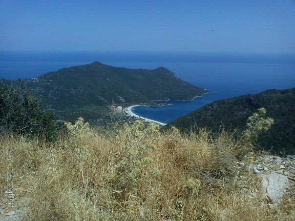 ΦΩΚΙΑΝΟΣ